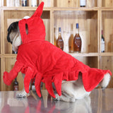 Dog Lobster Costume Qichong Pet Transformation Outfit Lobster Transformation M In Australia - Darrahopens