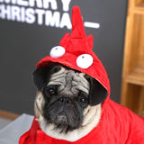 Dog Lobster Costume Qichong Pet Transformation Outfit Lobster Transformation In Australia - Darrahopens