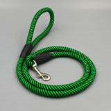Pet Nylon Leash 120cm for Small Dogs Color 1.0cm thick, 120cm long In Australia - Darrahopens