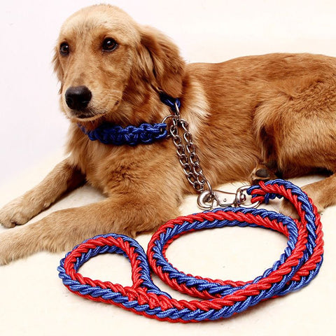 Dog Leash Nylon Hand Woven 1.5cm Red Blue In Australia - Darrahopens