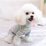 Cotton Knitted Pet Pullover Two Legs Clothes for Dogs Rainbow Strip M