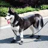 hcpet Dog Traction Rope Nylon Spring Shockproof Black In Australia - Darrahopens