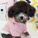 Pet Coat Rabbit Ear Cotton Qichong Small Dog Darling Rabbit Grey M