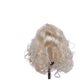 Pet Wig Silver Long Curly Hair