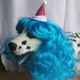 Pet Dog Cat Wool Wig Blue Wave Christmas In Australia - Darrahopens