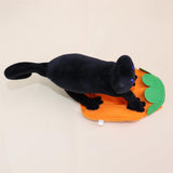 Pet Transformation Outfit Dog Cat Clothes Cloth Odd Pet Little Black Cat XL