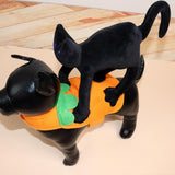 Pet Transformation Outfit Dog Cat Clothes Cloth Odd Pet Little Black Cat XL