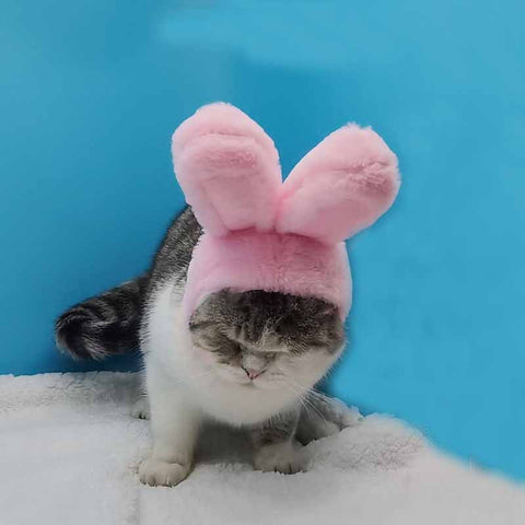 Pet Rabbit Ear Hat Huanya Polyester Cute Pet free size pink (size adjustable) In Australia - Darrahopens