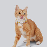 Pet Necklace Pearl Hollow Cat Dog Jewelry 32cm Yellow ° Elastic thread...about...32cm