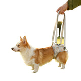 Dog Hind Leg Support Harness Mesh Leash M Light polka dot gray In Australia - Darrahopens