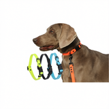 Dog Collar Roommate PVC Adjustable S M L Sky blue M size - recommended for dogs under 8-15kg In Australia - Darrahopens