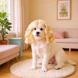 Gan's Liangsi NI Pet Wig Yellow Curly Light yellow In Australia - Darrahopens