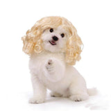 Gan's Liangsi NI Pet Wig Yellow Curly Light yellow