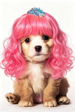 Pet Dog Cat Wig Hat Pink Wool