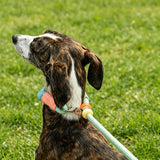 GROW&TAIL Nylon Dog Leash Buffer Handle for Large Dogs In Australia - Darrahopens
