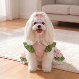 Pet Dress Princess Style Polyester Cotton Spring Summer Party cake skirt M (bust 40cm, back length 30cm) In Australia - Darrahopens