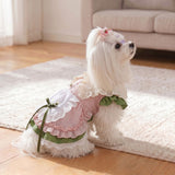 Pet Dress Princess Style Polyester Cotton Spring Summer Party cake skirt M (bust 40cm, back length 30cm) In Australia - Darrahopens