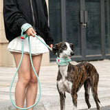 GROW&TAIL Nylon Dog Leash Buffer Handle for Large Dogs