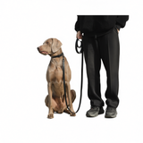 Pet Leash Roommate PVC Waterproof Dog Training Rope Sky blue 1.8m*2.0cm In Australia - Darrahopens