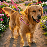 Pet Harness Leash No Pull Vest for Small Dogs