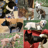 Dog Tactical Vest Polyester Military Style XXL