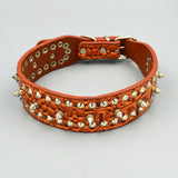 Chenjia Leather Dog Collar Large Breed Blue Brown 4.3*58cm In Australia - Darrahopens