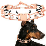 Premium Quick-Release Dog Training Chain Collar with Stimulation Nodes – Durable Stainless Steel Slip Collar for Large & Medium Breeds, Correct Pulling and Jumping Behaviors with Comfortable Rubber-Tipped Prongs. (L, RoseGold) In Australia - Darrahopens