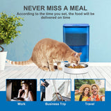 Smart Pet Feeder with WiFi and Button Control, 4L Automatic Cat and Dog Food Dispenser with Removable Stainless Steel Bowl, Ideal for Busy Owners, Travel, and Home Use (Orange, Button Version)