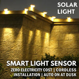 Solar Powered Smart Wall Light with Auto Dusk-to-Dawn Sensor, IP65 Waterproof Fence & Garden Accent Lighting, Available in 3000K Warm White or 6000K Cool White, Ideal for Patio, Pathway, and Courtyard Ambient Glow (16PCS, Black Housing‑Cool White Light)