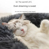 Plush Pet Nest Soft Donut Cat Bed – Cozy Round Couch for Cats and Small Dogs, Comfortable Sleeping Spot for Warmth and Deep Sleep, Suitable for Indoor Home Use (M, White)