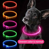 USB Rechargeable LED Glow Pet Collar, Soft Silicone Night Safety Dog & Cat Collar with 6 Colors, 3 Modes, Adjustable Length for Small, Medium, Large Pets, Ideal for Evening Walks and Outdoor Visibility (L, Purple) In Australia - Darrahopens