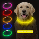 USB Rechargeable LED Glow Pet Collar, Soft Silicone Night Safety Dog & Cat Collar with 6 Colors, 3 Modes, Adjustable Length for Small, Medium, Large Pets, Ideal for Evening Walks and Outdoor Visibility (M, Pink)