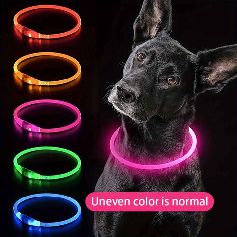 USB Rechargeable LED Glow Pet Collar, Soft Silicone Night Safety Dog & Cat Collar with 6 Colors, 3 Modes, Adjustable Length for Small, Medium, Large Pets, Ideal for Evening Walks and Outdoor Visibility (M, Purple) In Australia - Darrahopens
