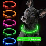 USB Rechargeable LED Glow Pet Collar, Soft Silicone Night Safety Dog & Cat Collar with 6 Colors, 3 Modes, Adjustable Length for Small, Medium, Large Pets, Ideal for Evening Walks and Outdoor Visibility (S, Green) In Australia - Darrahopens