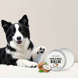 Paw & Nose Care Balm for Dogs and Cats – Deep Moisturizing Treatment for Cracked Pads and Dry Noses, with Coconut Oil or Blueberry Extract, Ideal for Home or On-the-Go Use (OLI00742)