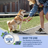 Paw & Nose Care Balm for Dogs and Cats – Deep Moisturizing Treatment for Cracked Pads and Dry Noses, with Coconut Oil or Blueberry Extract, Ideal for Home or On-the-Go Use (OLI00742)