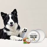 Paw & Nose Care Balm for Dogs and Cats – Deep Moisturizing Treatment for Cracked Pads and Dry Noses, with Coconut Oil or Blueberry Extract, Ideal for Home or On-the-Go Use (OLI00743) In Australia - Darrahopens