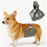 Reusable Washable Dog Diapers for Female and Male Dogs, Leak-Proof Protective Wrap with Adjustable Quick-Release Buckles, Perfect for Heat Cycles, Incontinence, and Outdoor Adventures Like Daily Walks (L, Grey)