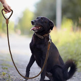 Classic Braided Dog Leash with Genuine Leather Handle and Heavy Duty Metal Clasp for Outdoor Walking, Training, and Control of Medium to Large Breeds (153cm, Brown)