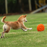 Soft Durable Dog Frisbee for Fetch, Tug, and Water Play – Non-Toxic Rubber Flying Disc with Paw Print Design, Perfect for Outdoor Training, Beach, and Pool Fun with Large, Medium, and Small Breeds (S, Orange)