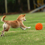 Soft Durable Dog Frisbee for Fetch, Tug, and Water Play – Non-Toxic Rubber Flying Disc with Paw Print Design, Perfect for Outdoor Training, Beach, and Pool Fun with Large, Medium, and Small Breeds (S, Yellow) In Australia - Darrahopens