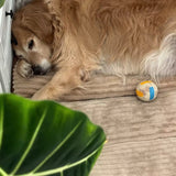 Luxuriously Soft and Thick Pet Sleeping Mat, Perfect Four-Season Floor Bed for Dogs and Cats, Removable Washable Cover with Waterproof Non-Slip Base, Ideal for Light Sleepers and All Breeds (2XL,Brown) In Australia - Darrahopens