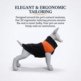 Winter Dog Ski Jacket with Waterproof and Windproof Polyester Shell, Thick PP Cotton Padding for Warmth, 3D Ergonomic Fit with D-Ring Leash Attachment, Ideal for Outdoor Walks and Snow Adventures (3XL, Blue)