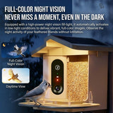 Smart Bird Feeder with 2K-4K Ultra HD AI Bird Recognition, Solar-Powered Outdoor Camera Feeder for Garden, Balcony, or Tree Mounting, Ideal for Bird Watching Enthusiasts and Backyard Wildlife Lovers (2K, Apricot)