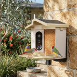 Smart Bird Feeder with 2K-4K Ultra HD AI Bird Recognition, Solar-Powered Outdoor Camera Feeder for Garden, Balcony, or Tree Mounting, Ideal for Bird Watching Enthusiasts and Backyard Wildlife Lovers (2K, Green)