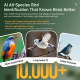 Smart Bird Feeder with 2K-4K Ultra HD AI Bird Recognition, Solar-Powered Outdoor Camera Feeder for Garden, Balcony, or Tree Mounting, Ideal for Bird Watching Enthusiasts and Backyard Wildlife Lovers (4K, Apricot)