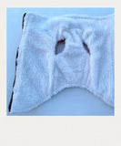 Winter Pet Dog Padded Vest with Waterproof Shell, Warm Fleece Lining, and Leash Attachment Ring for Outdoor Cold Weather Walks (4XL, Red)