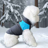 Winter Pet Dog Padded Vest with Waterproof Shell, Warm Fleece Lining, and Leash Attachment Ring for Outdoor Cold Weather Walks (XL, Blue) In Australia - Darrahopens