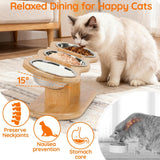 Elevated Cat Bowl Set with 3 Stainless Steel Bowls and 15° Angled Stand, Ideal for Indoor Cats and Small Dogs to Promote Healthy Eating and Digestion In Australia - Darrahopens
