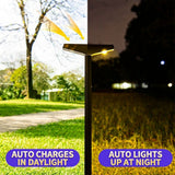 Solar Powered Pathway Lights with PET Laminated Monocrystalline Panel, NiMH Battery, and Black Aluminum Body – Auto On/Off at Dusk, Cordless Installation for Garden Walkways, Patio Steps, Flower Beds, and Landscape Accents – Choose 6000K Cool White or 300